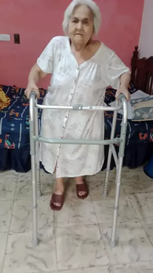 Abuela caminador
